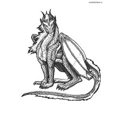 Dragón #41631