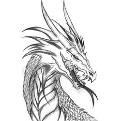 Dragón #41463