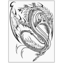 Dragón #41493