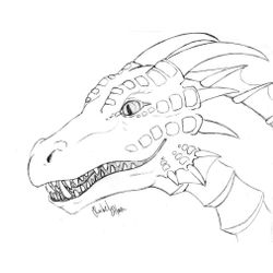 Dragón #41502
