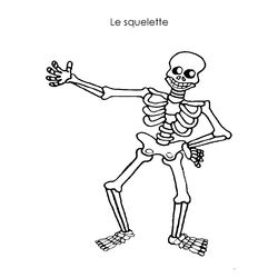 Esqueleto #42048