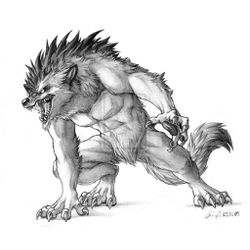 Hombre lobo #42623