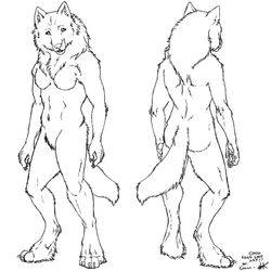 Hombre lobo #42639