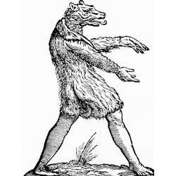Hombre lobo #42649