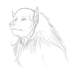 Hombre lobo #42656