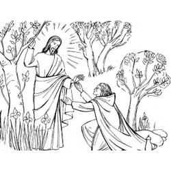 Jesús #42827