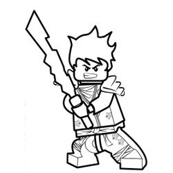 Ninja #43379