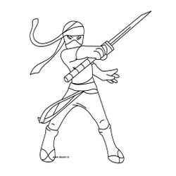 Ninja #43381