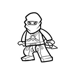 Ninja #43382