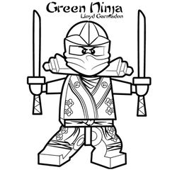 Ninja #43384