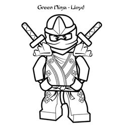 Ninja #43385