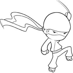 Ninja #43387