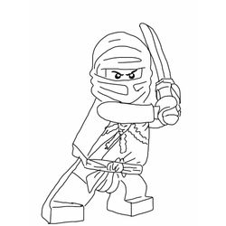 Ninja #43389