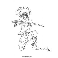 Ninja #43391