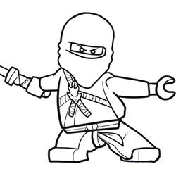 Ninja #43395