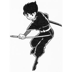 Ninja #43398