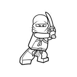 Ninja #43399