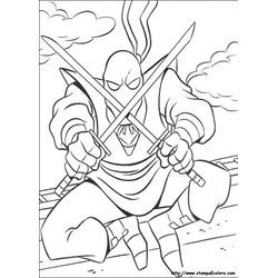 Ninja #43401
