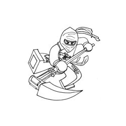 Ninja #43402