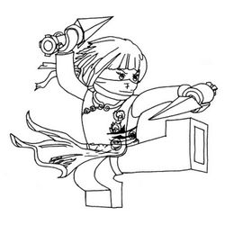 Ninja #43404