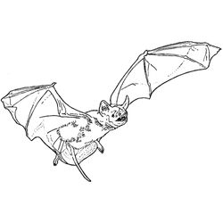 Vampiro #45251