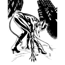 Catwoman #46653