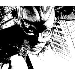 Catwoman #46661