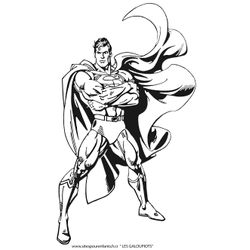 DC Comics Super Heroes #46755