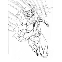 Flash #47121
