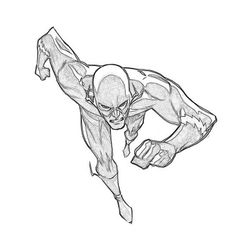 Flash #47133