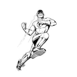 Flash #47137