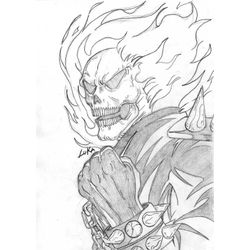 Ghost Rider #47153