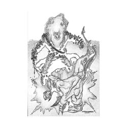 Ghost Rider #47176