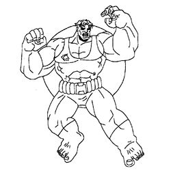 Hulk #47411