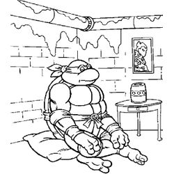 Las tortugas ninja #48062
