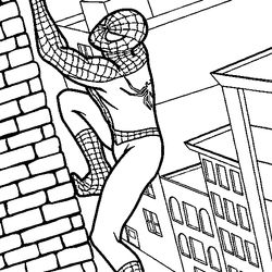 Spiderman #48344