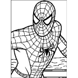 Spiderman #48350