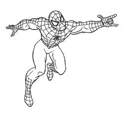Spiderman #48358