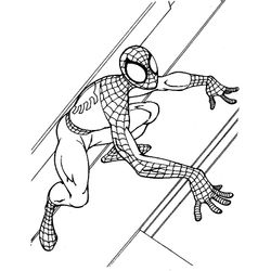 Spiderman #48364