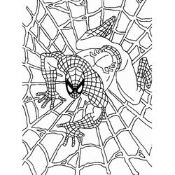Spiderman #48371