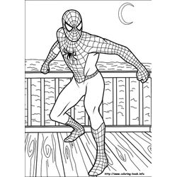 Spiderman #48377