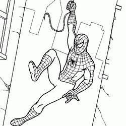 Spiderman #48396