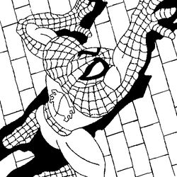 Spiderman #48429