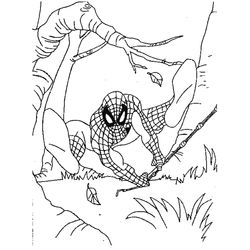 Spiderman #48435