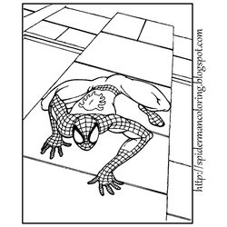 Spiderman #48449