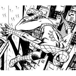 Spiderman #48455