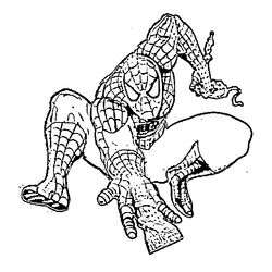 Spiderman #48461