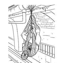 Spiderman #48474