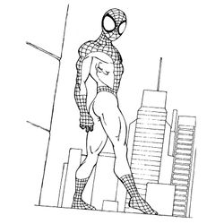 Spiderman #48485