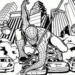 Spiderman #48489